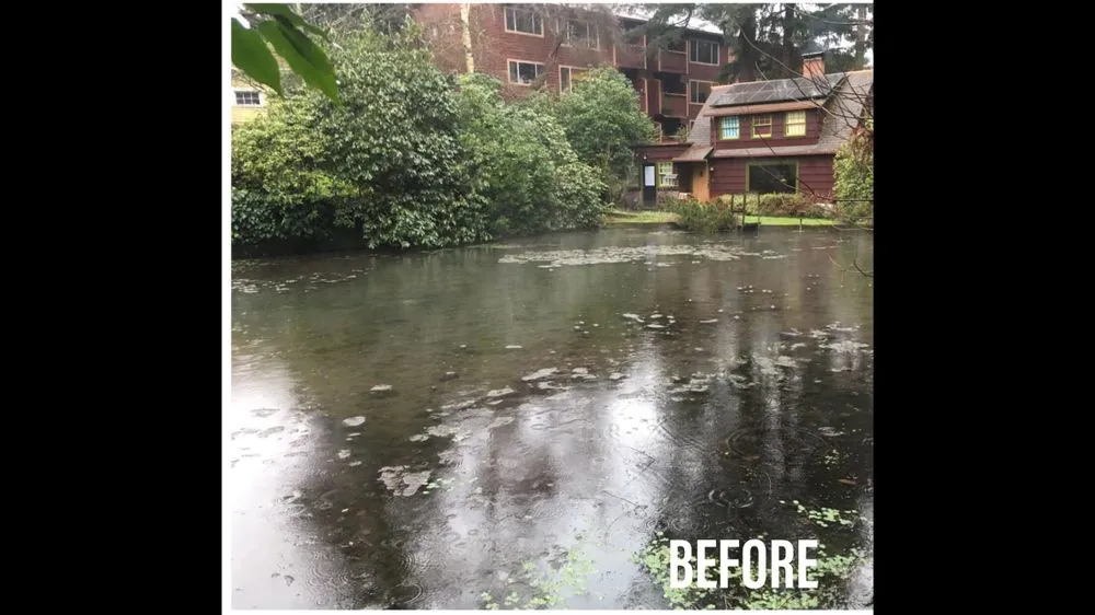 Professional landscaping services in Milwaukie, OR by The Water Feature Pro's