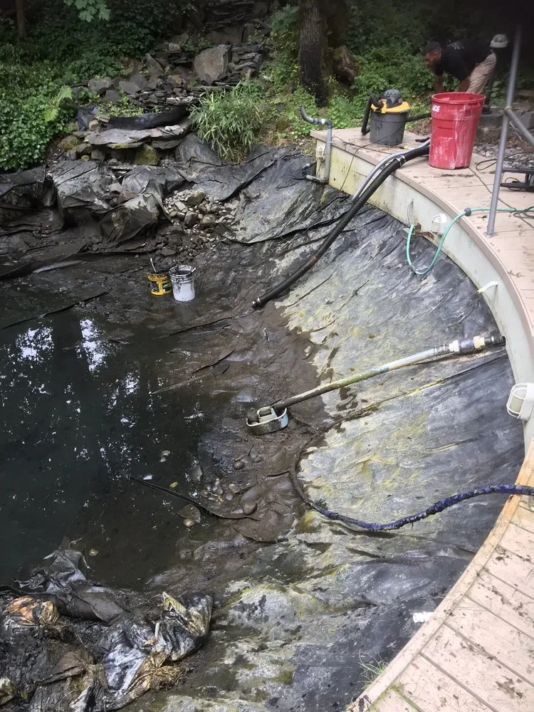 Local yard maintenance in Milwaukie, OR by The Water Feature Pro's