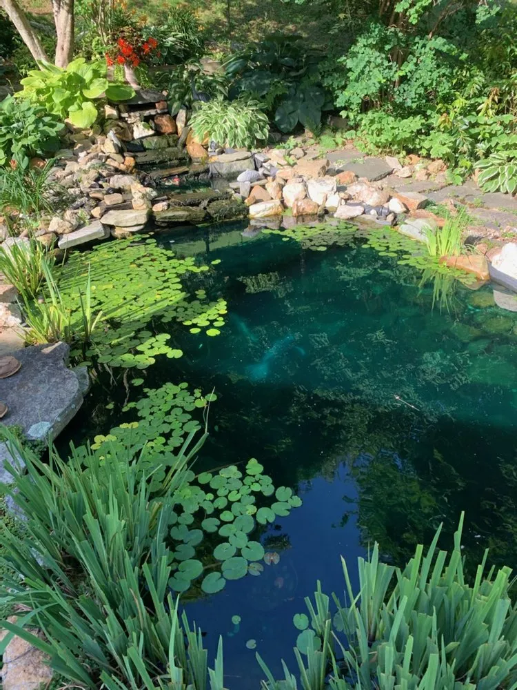 Affordable lawn mowing service experts serving Ramseur, NC - The Water Wizard