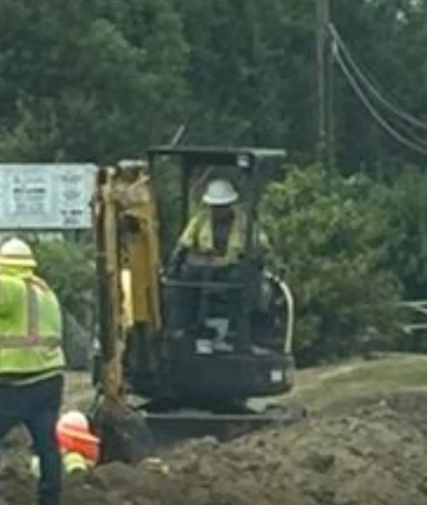 Professional yard cleanup service in Leesburg, VA - The W&E Solutions