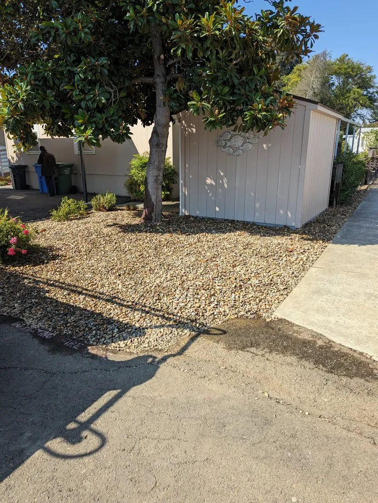 Trusted lawn care service in Rohnert Park, CA by The Weed Man Landscaping Maintenance