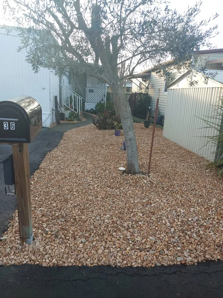 Local yard cleanup service experts serving Rohnert Park, CA - The Weed Man Landscaping Maintenance