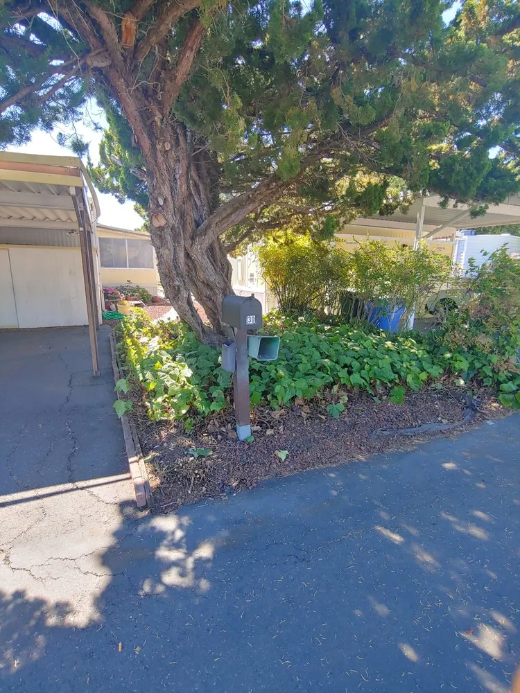 Reliable landscape installation for outdoor upgrades in Rohnert Park, CA by The Weed Man Landscaping Maintenance