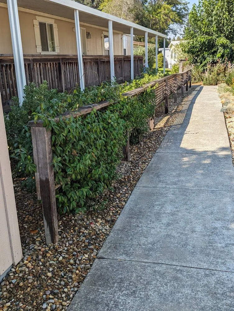 Professional yard maintenance for residential properties across Rohnert Park, CA - The Weed Man Landscaping Maintenance
