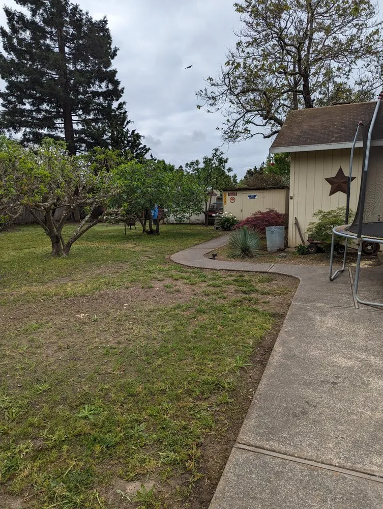 Professional landscaping services for homes in Rohnert Park, CA by The Weed Man Landscaping Maintenance