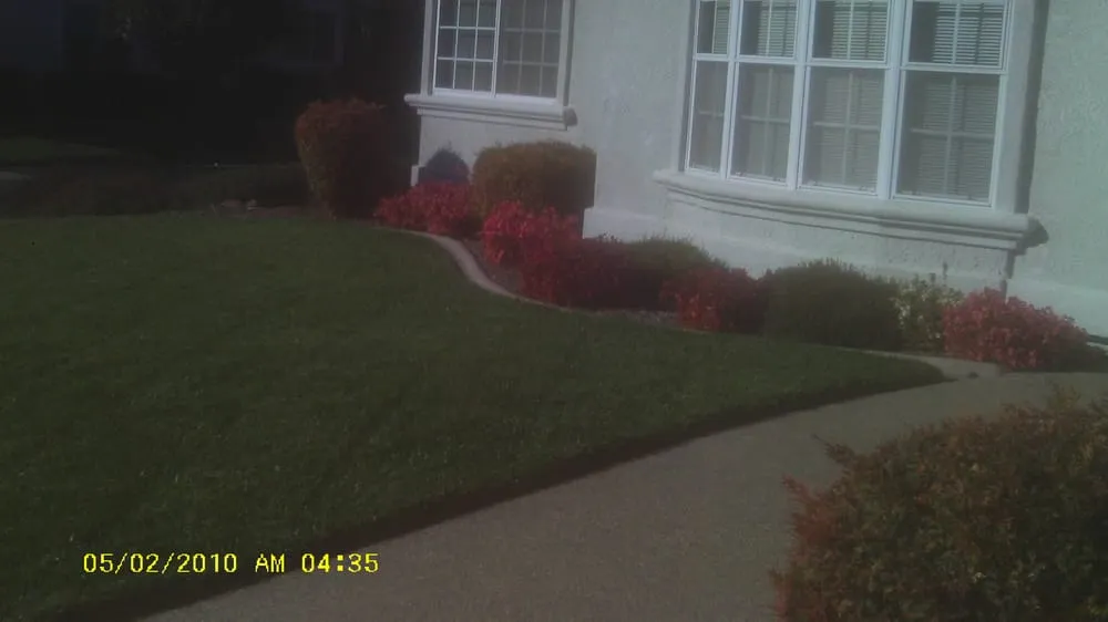 Affordable residential landscaping in Meadow Vista, CA - The Weed Removal Specialist