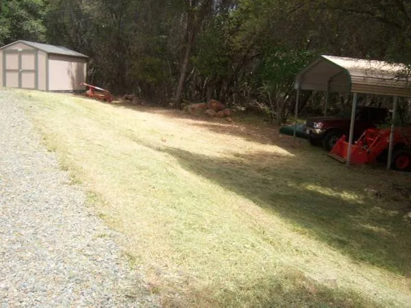 Affordable yard cleanup service experts serving Meadow Vista, CA - The Weed Removal Specialist
