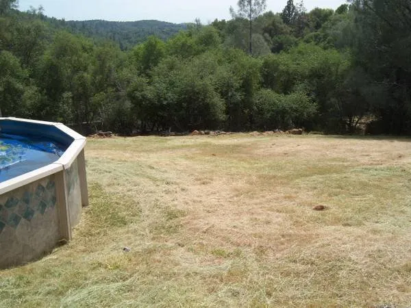 Trusted lawn care service in Meadow Vista, CA by The Weed Removal Specialist