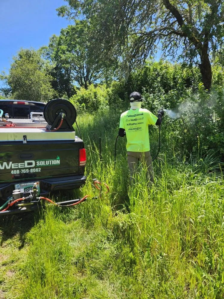 Local lawn mowing service in Placerville, CA - The Weed Solution
