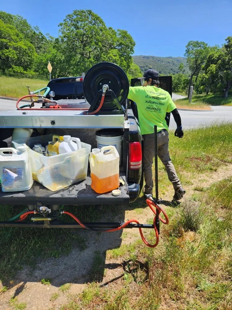 Reliable landscaping services in Placerville, CA - The Weed Solution