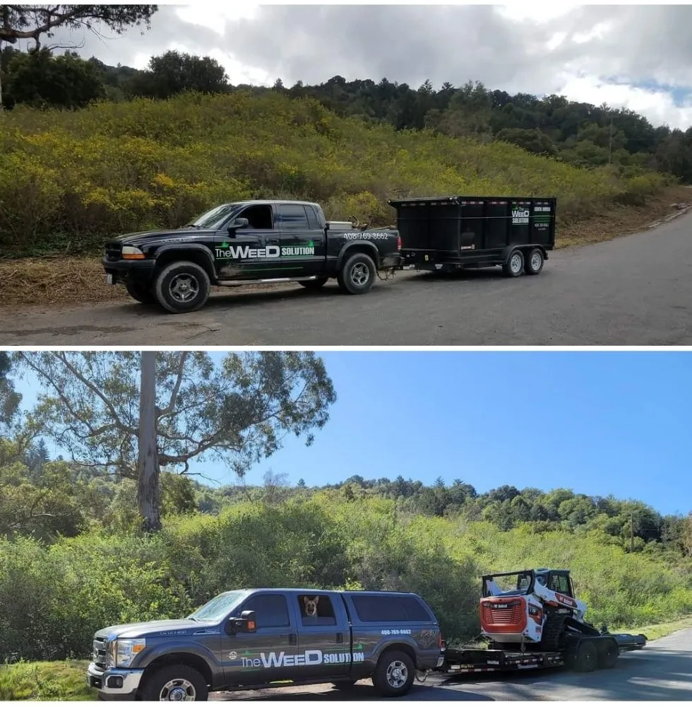 Trusted landscaping services for beautiful yards across Placerville, CA - The Weed Solution