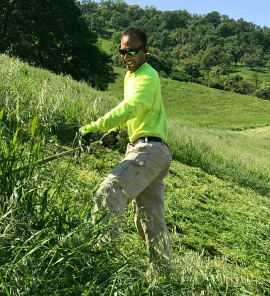 Professional landscape installation for year-round maintenance across Placerville, CA - The Weed Solution