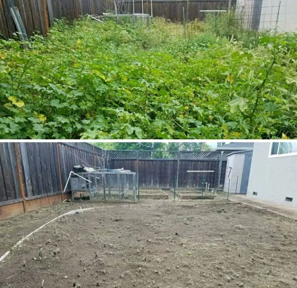 Professional garden landscaping experts serving Placerville, CA - The Weed Solution