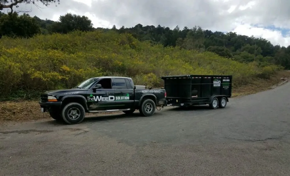 Local outdoor landscaping for residential properties in Placerville, CA by The Weed Solution