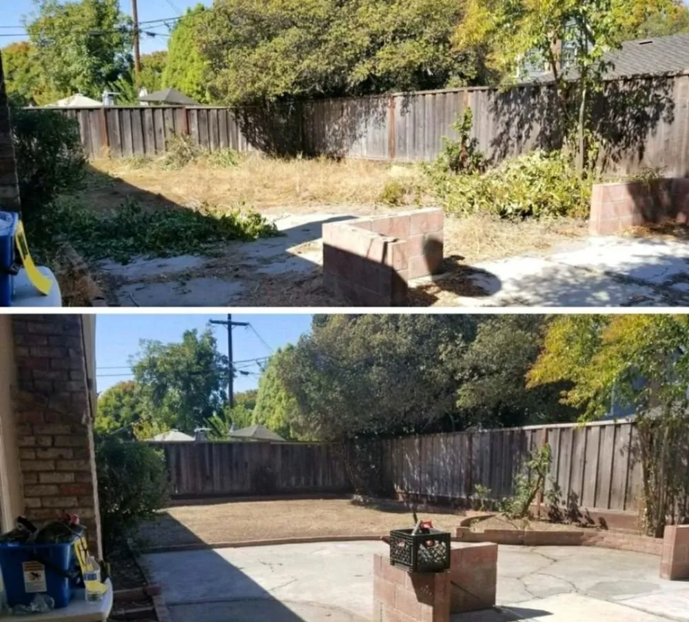 Expert landscape design for year-round maintenance across Placerville, CA - The Weed Solution