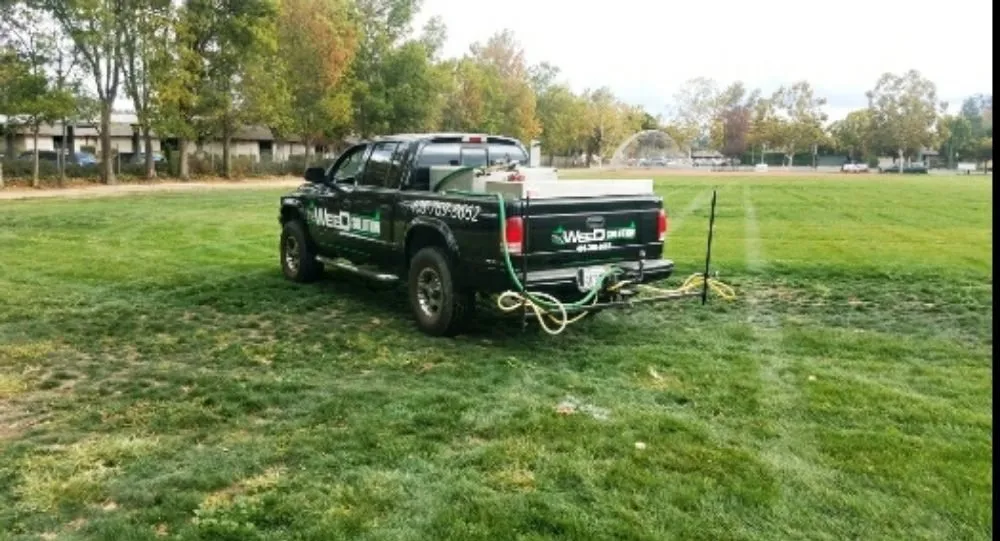 Affordable yard maintenance in Placerville, CA by The Weed Solution