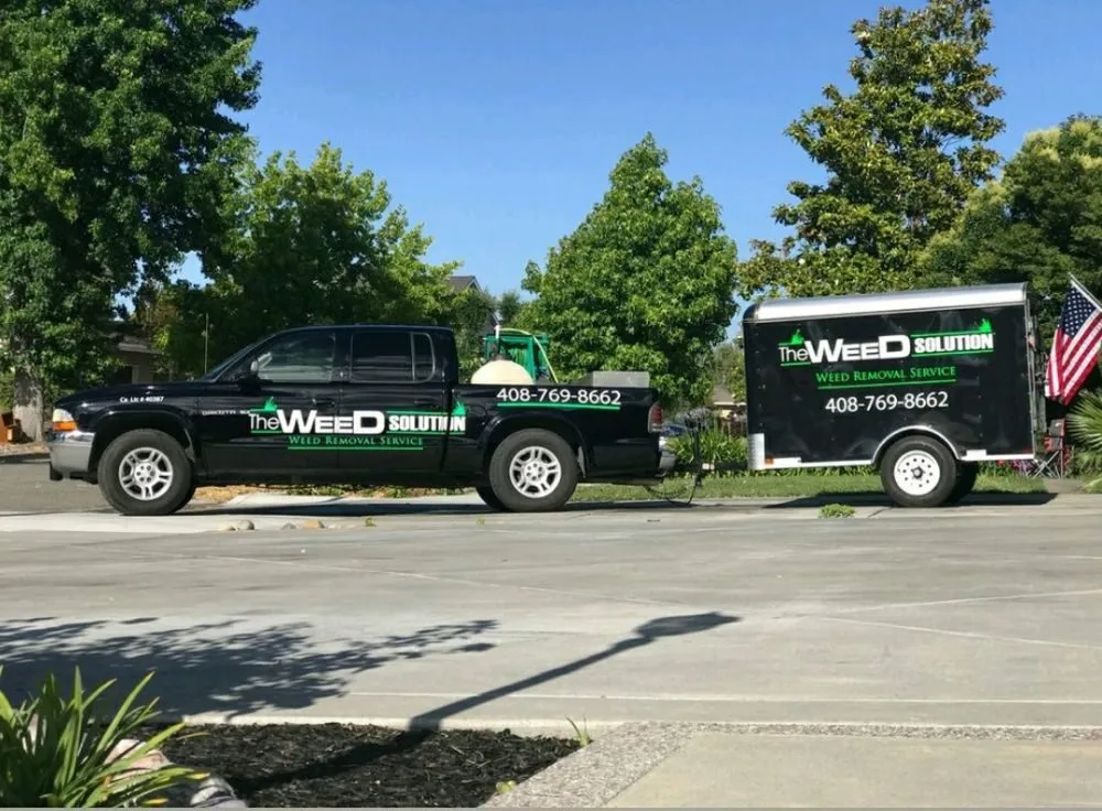 Affordable lawn mowing service experts serving Placerville, CA - The Weed Solution