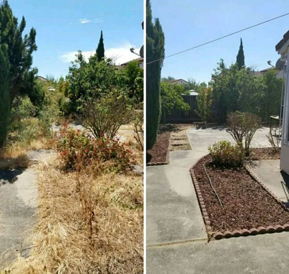 Top-rated garden landscaping in Placerville, CA - The Weed Solution