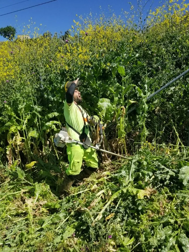 Top-rated lawn mowing service experts serving Placerville, CA - The Weed Solution