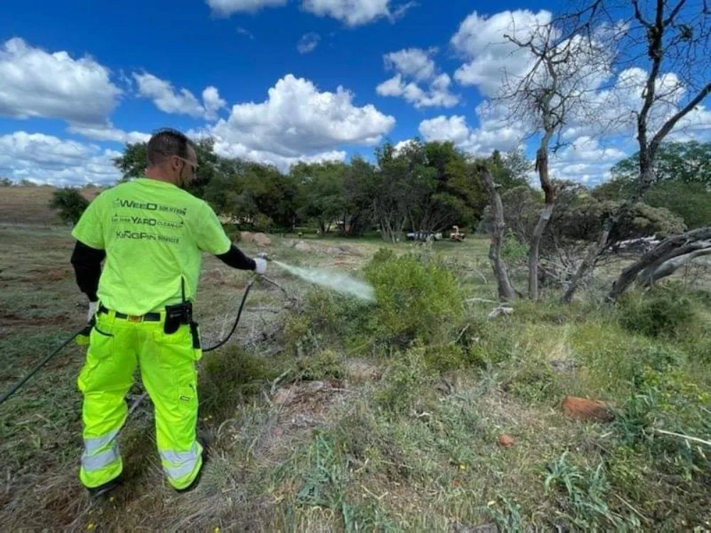 Local residential landscaping in Placerville, CA - The Weed Solution