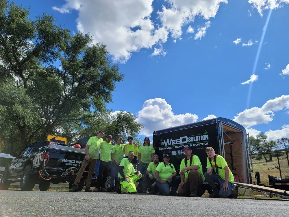 Trusted landscape installation in Placerville, CA by The Weed Solution