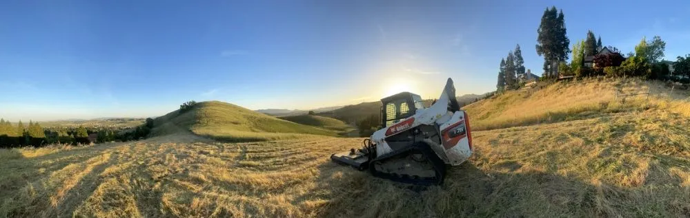 Top-rated yard cleanup service for residential properties in Placerville, CA by The Weed Solution