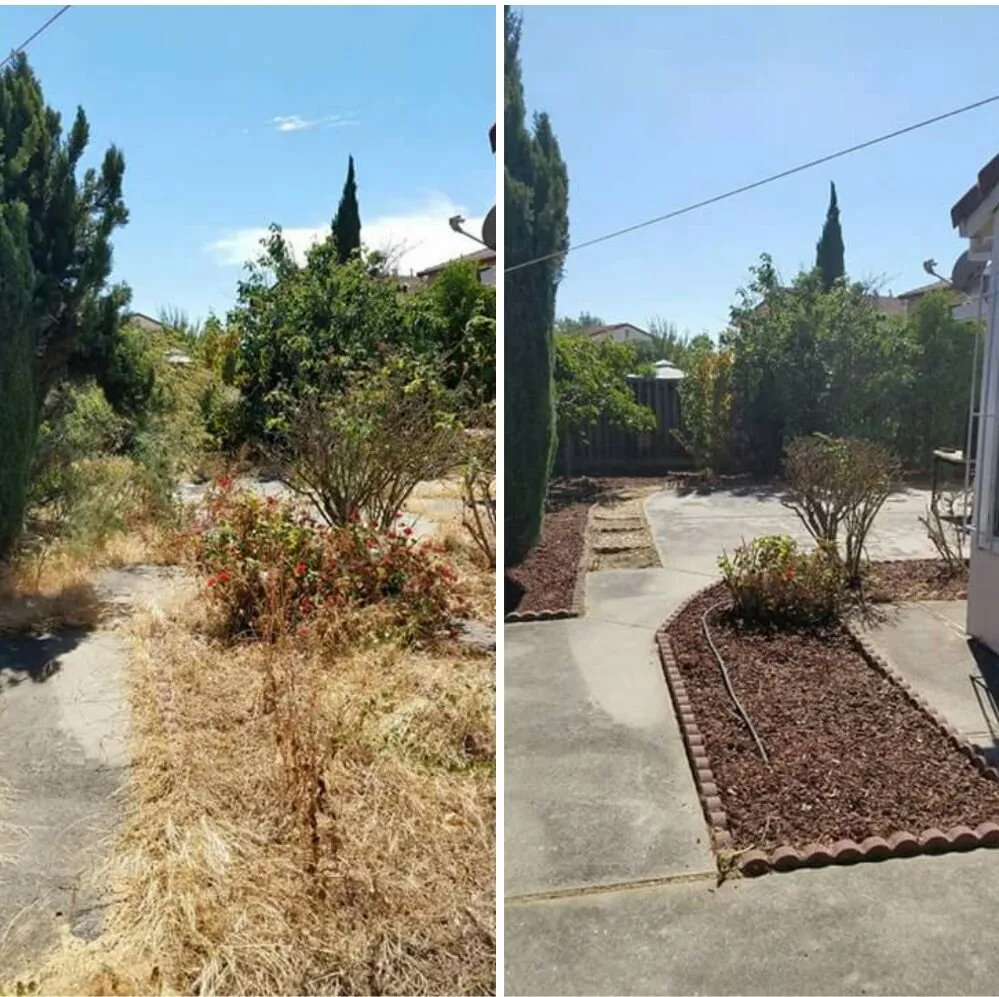 Affordable landscape design for beautiful yards in San Jose, CA by The Weed Solution