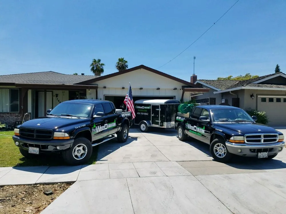 Local residential landscaping experts serving San Jose, CA - The Weed Solution