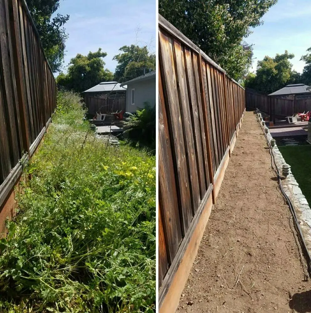 Expert landscape design in San Jose, CA - The Weed Solution