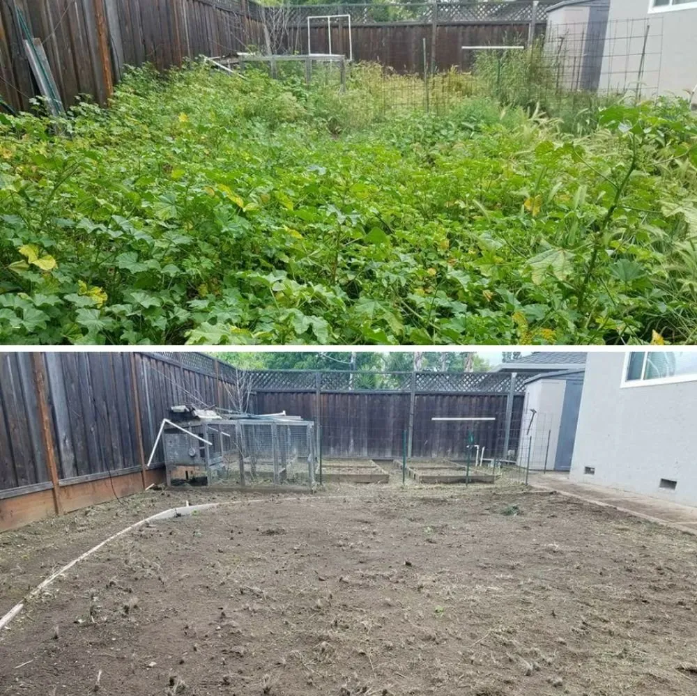 Reliable landscaping services in San Jose, CA by The Weed Solution