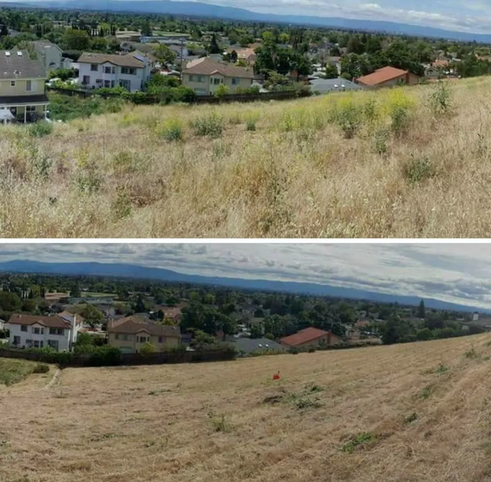 Affordable yard cleanup service near you in San Jose, CA by The Weed Solution