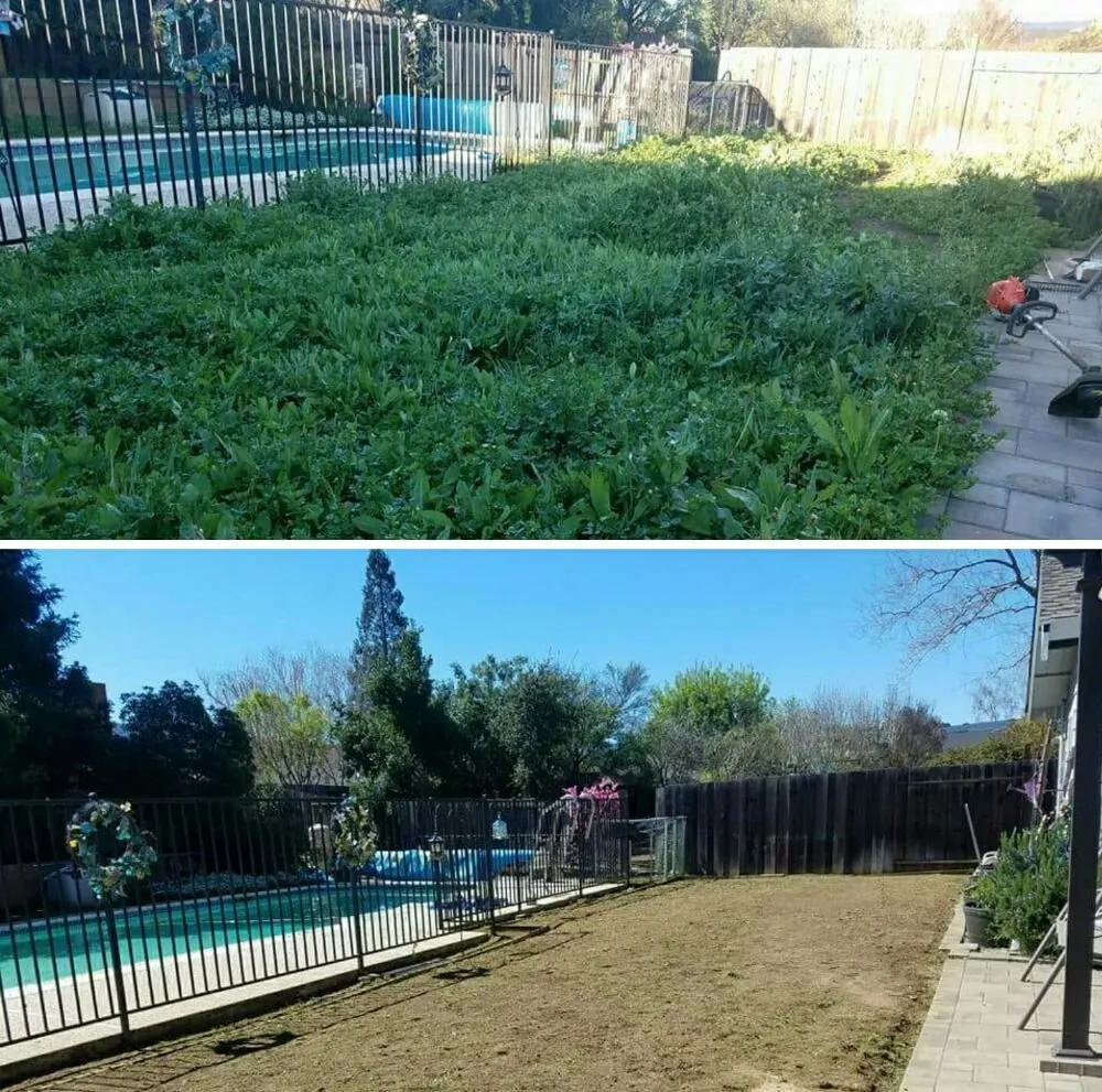 Trusted residential landscaping in San Jose, CA by The Weed Solution