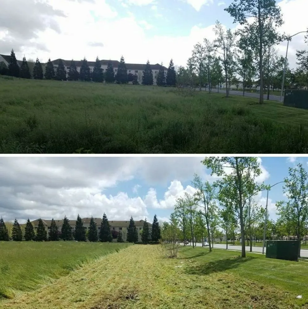 Local lawn mowing service experts serving San Jose, CA - The Weed Solution