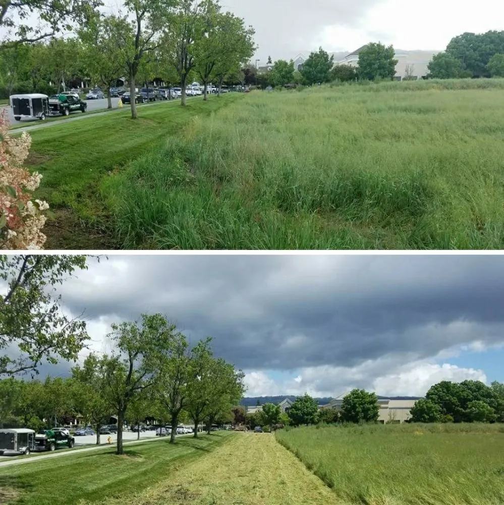 Local lawn mowing service for beautiful yards across San Jose, CA - The Weed Solution