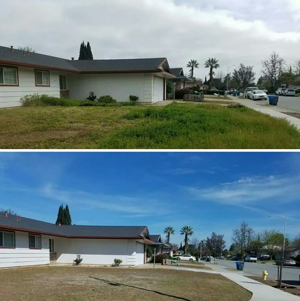 Expert garden landscaping in San Jose, CA by The Weed Solution