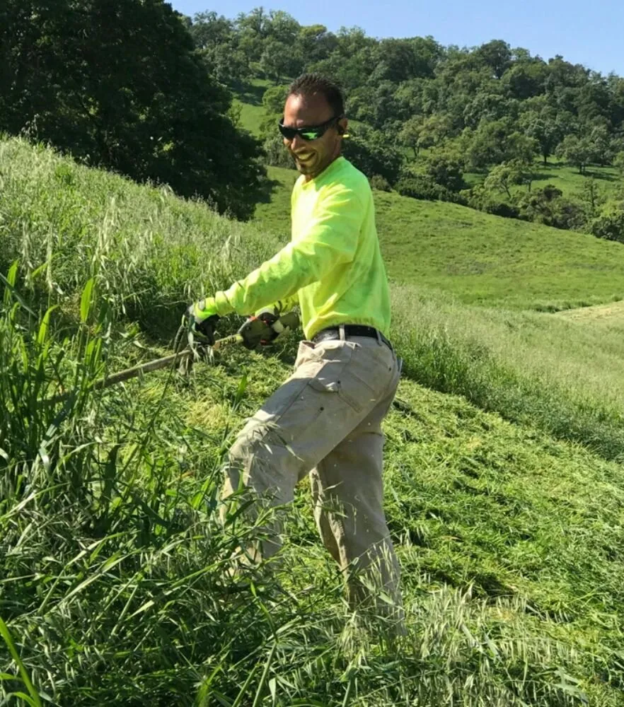 Reliable outdoor landscaping for homes in San Jose, CA by The Weed Solution