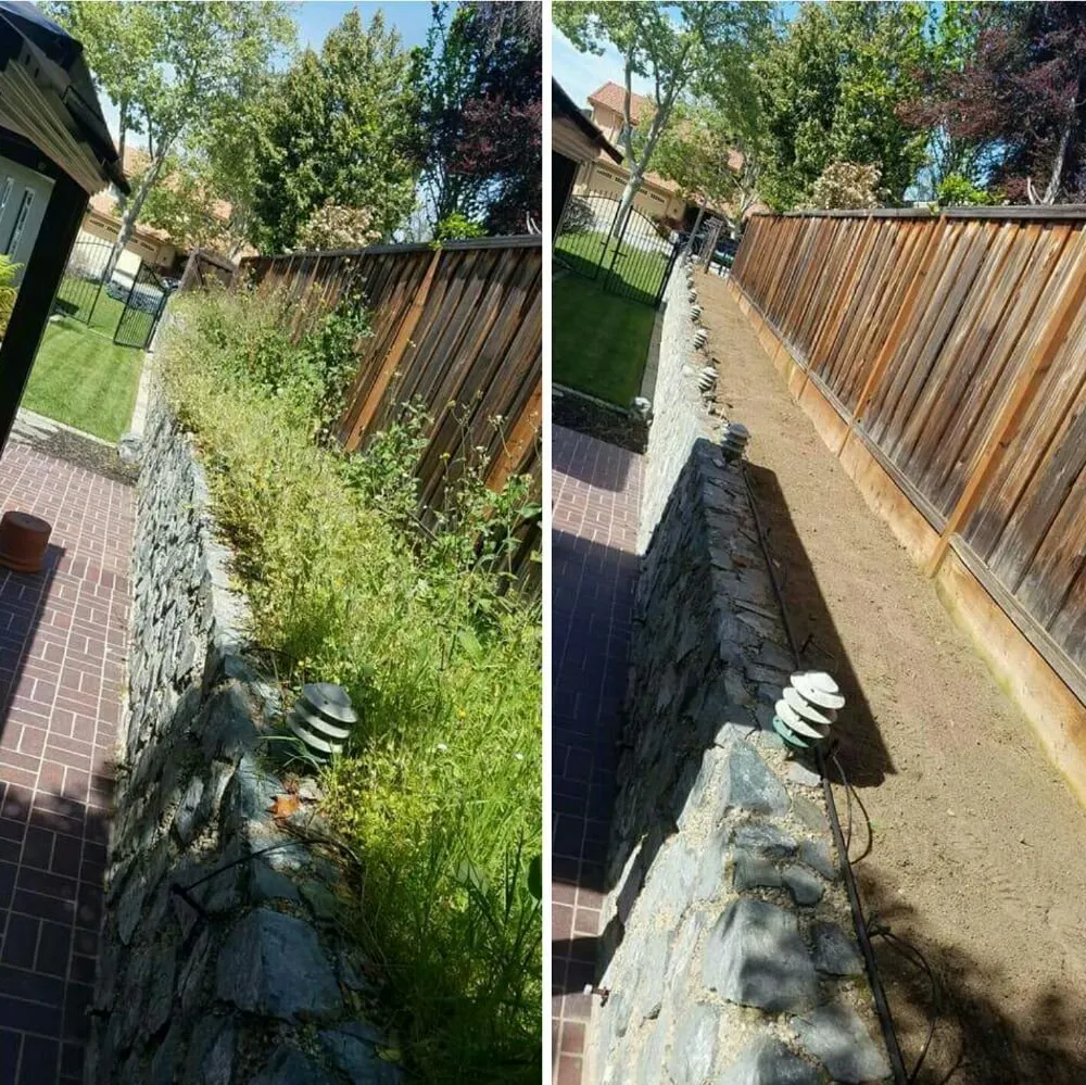 Affordable outdoor landscaping in San Jose, CA by The Weed Solution
