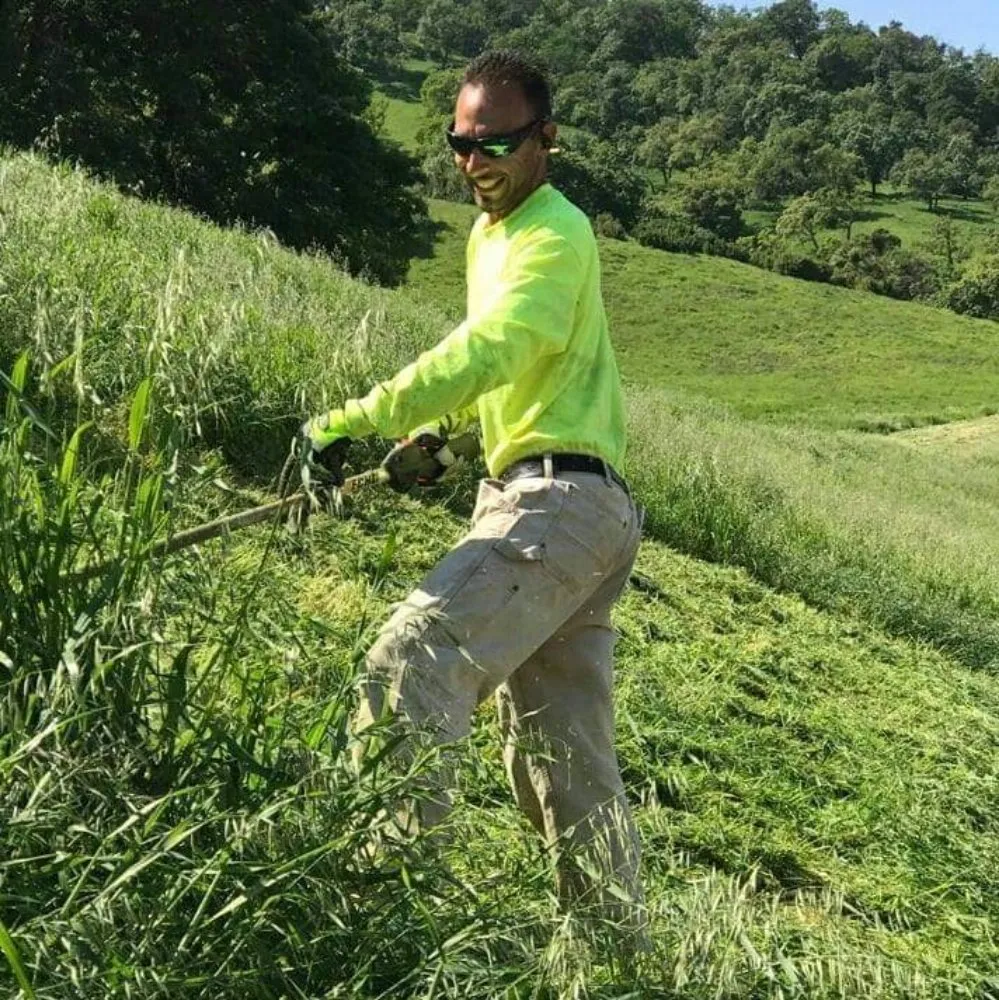 Professional lawn mowing service in San Jose, CA - The Weed Solution