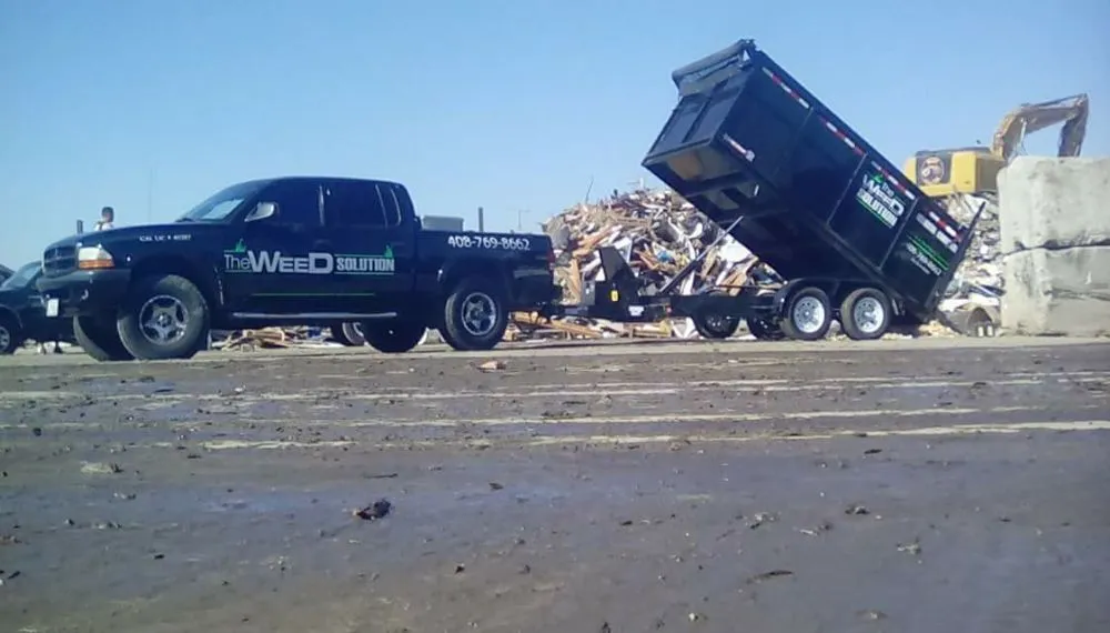 Expert yard maintenance in San Jose, CA by The Weed Solution