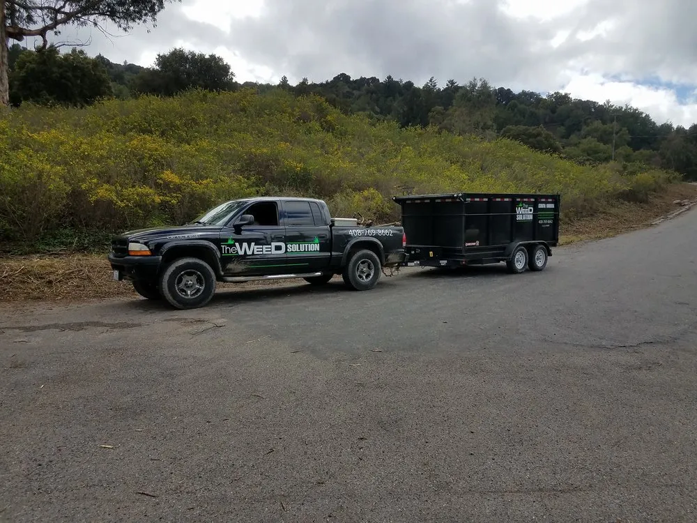 Professional landscape installation for outdoor upgrades in San Jose, CA by The Weed Solution