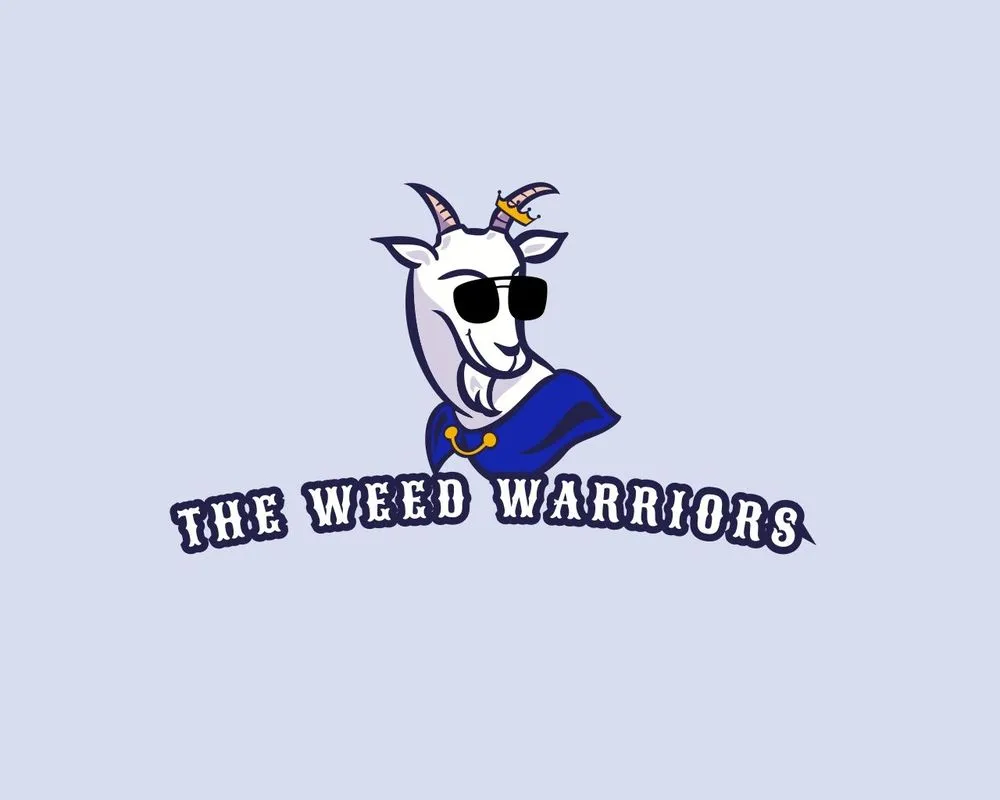 Affordable yard cleanup service in Albuquerque, NM - The Weed Warriors