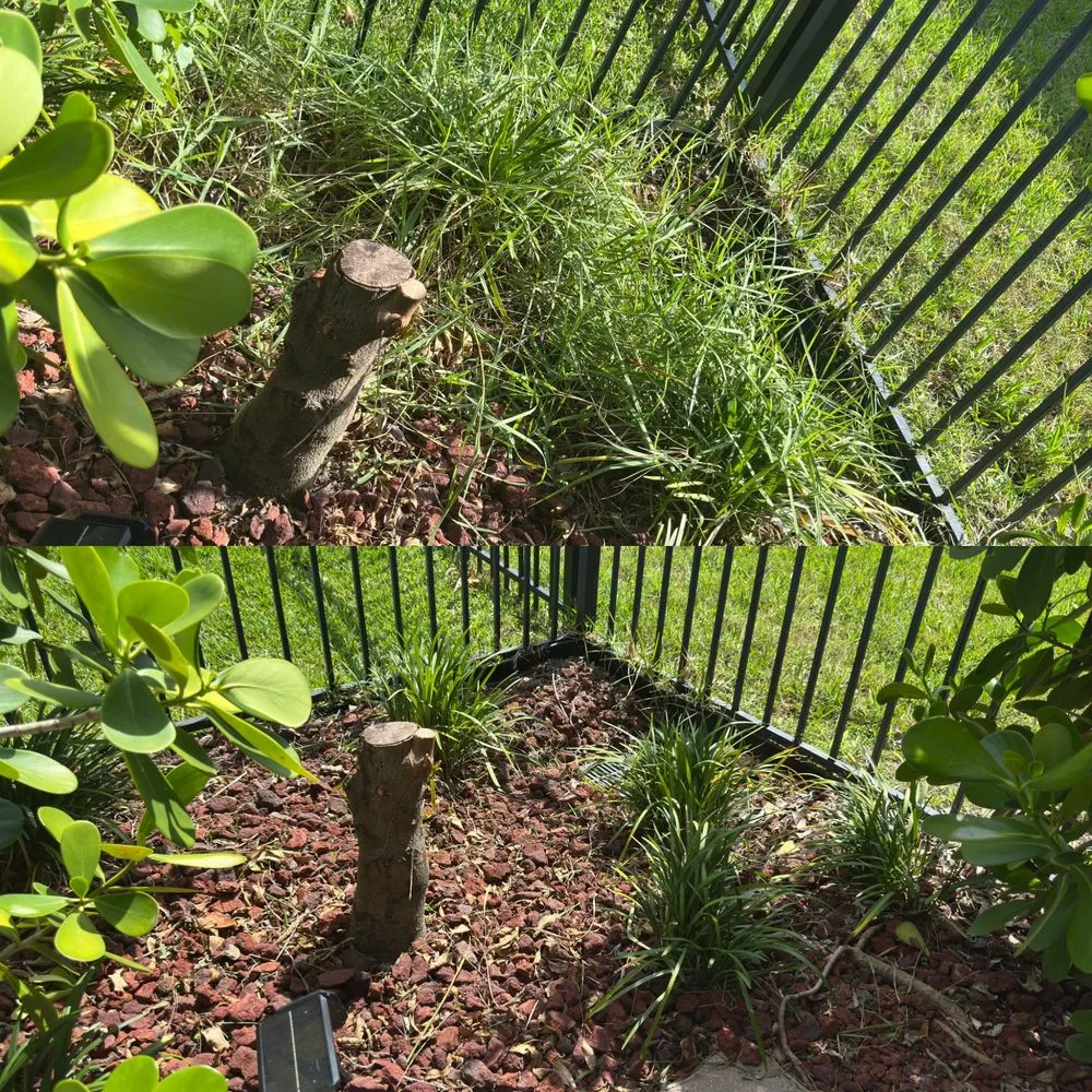 Affordable lawn mowing service in Apollo Beach, FL by The Weeding Lady