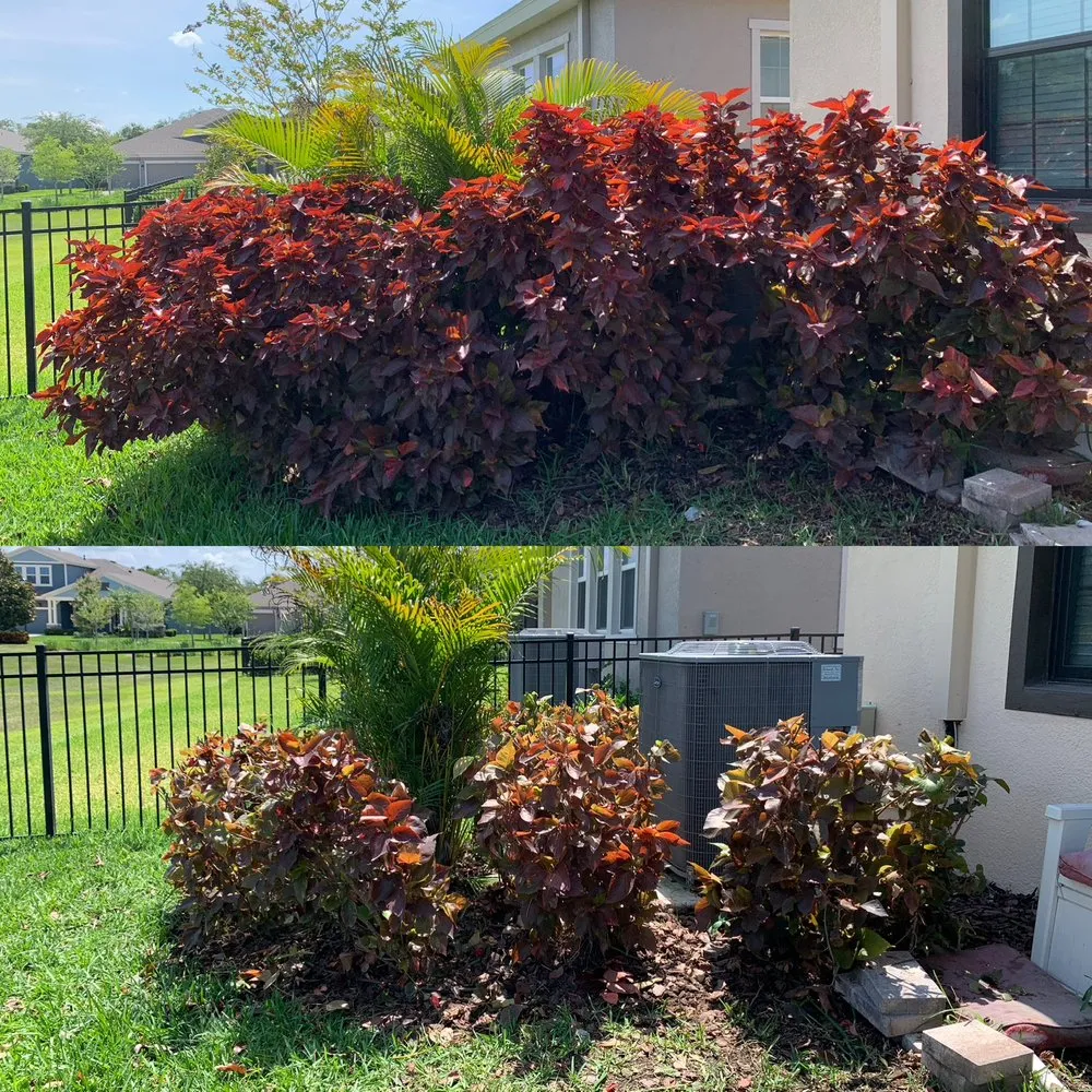 Local landscape design for year-round maintenance in Apollo Beach, FL by The Weeding Lady