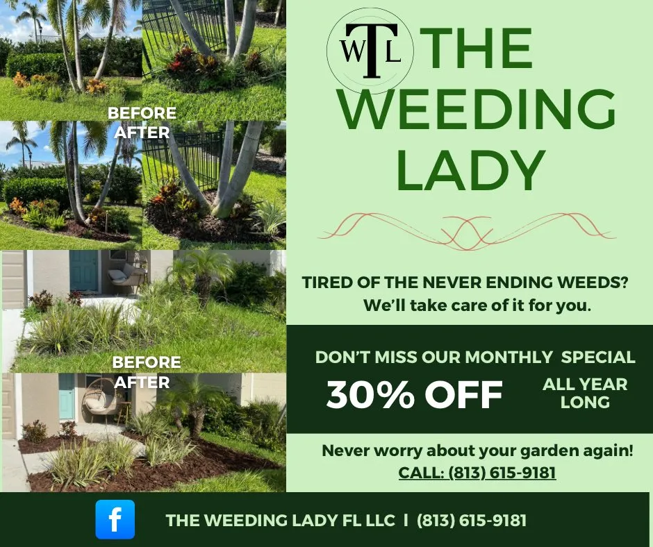 Reliable lawn mowing service in Apollo Beach, FL - The Weeding Lady