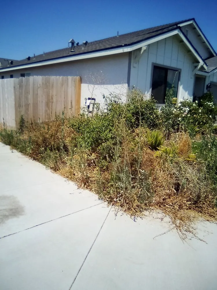 Professional yard cleanup service experts serving Visalia, CA - The Weekend Warrior Landscaping