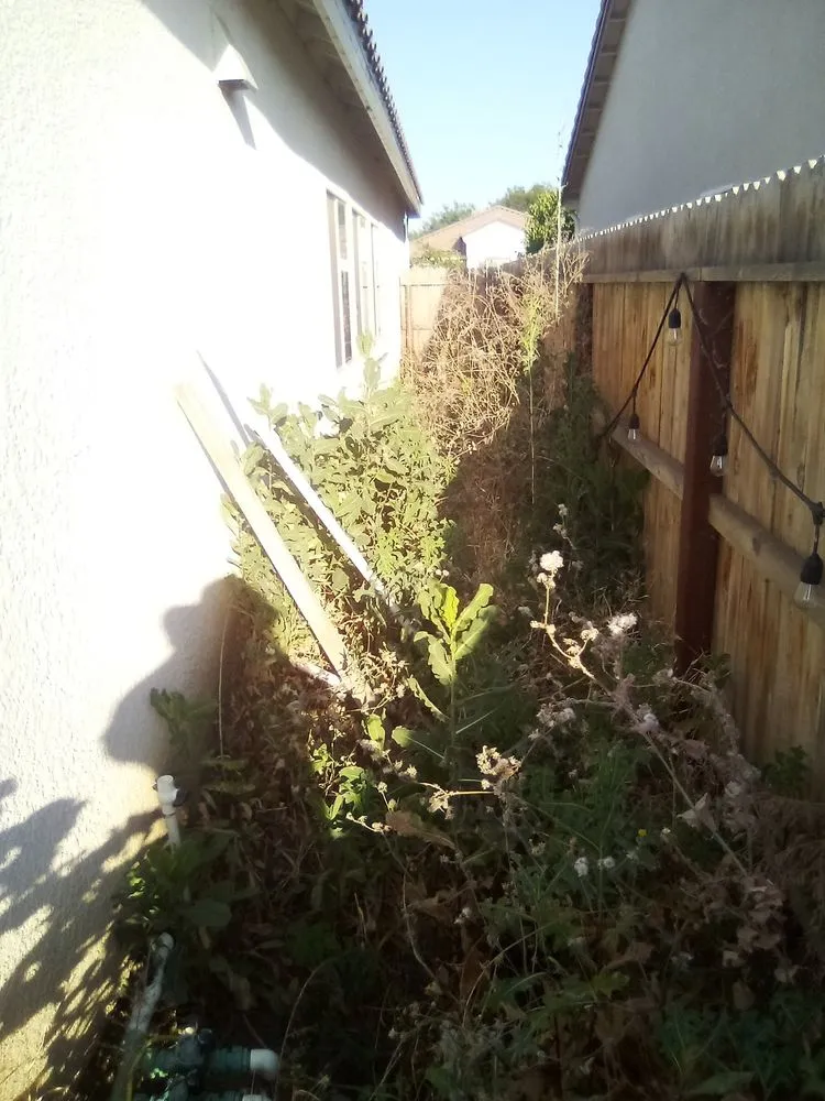 Custom landscaping services experts serving Visalia, CA - The Weekend Warrior Landscaping