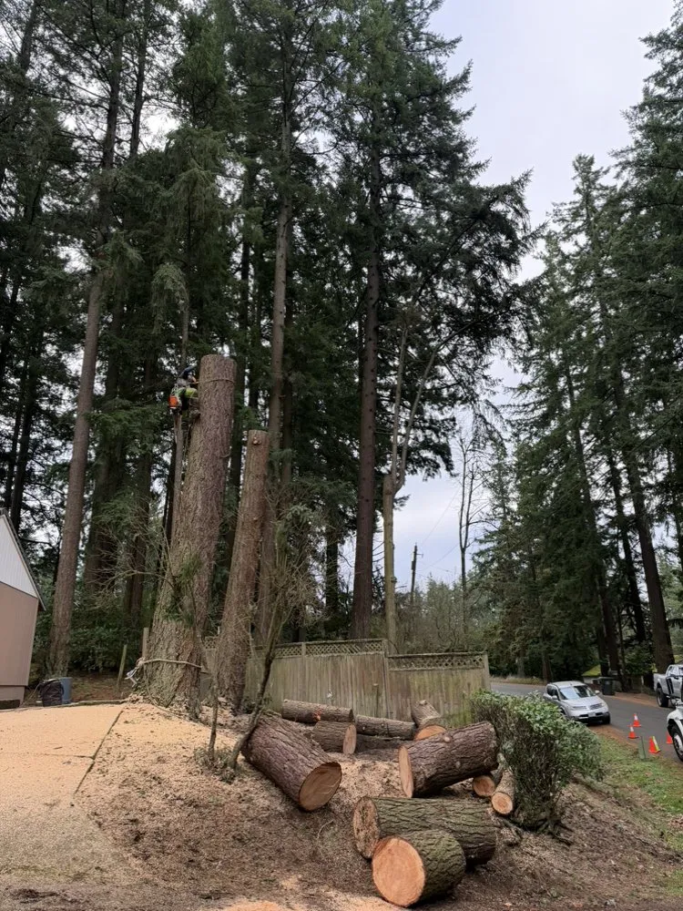 Expert landscape installation experts serving Portland, OR - The White Eagle Tree Services & Landscaping