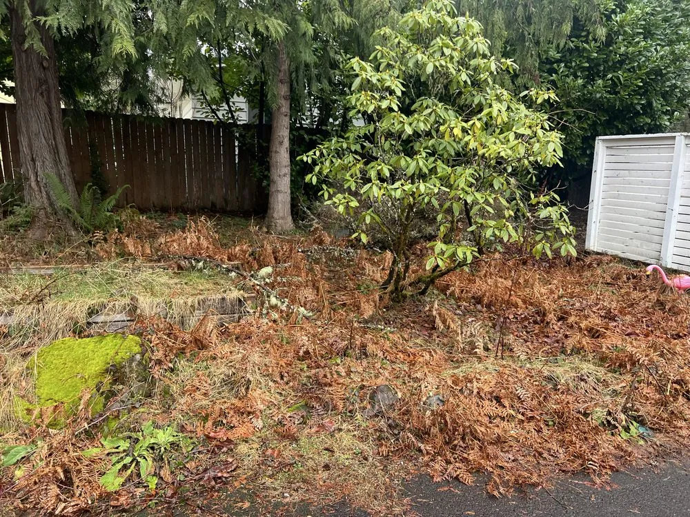 Reliable landscape design experts serving Portland, OR - The White Eagle Tree Services & Landscaping