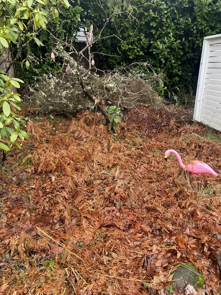 Trusted lawn care service in Portland, OR by The White Eagle Tree Services & Landscaping