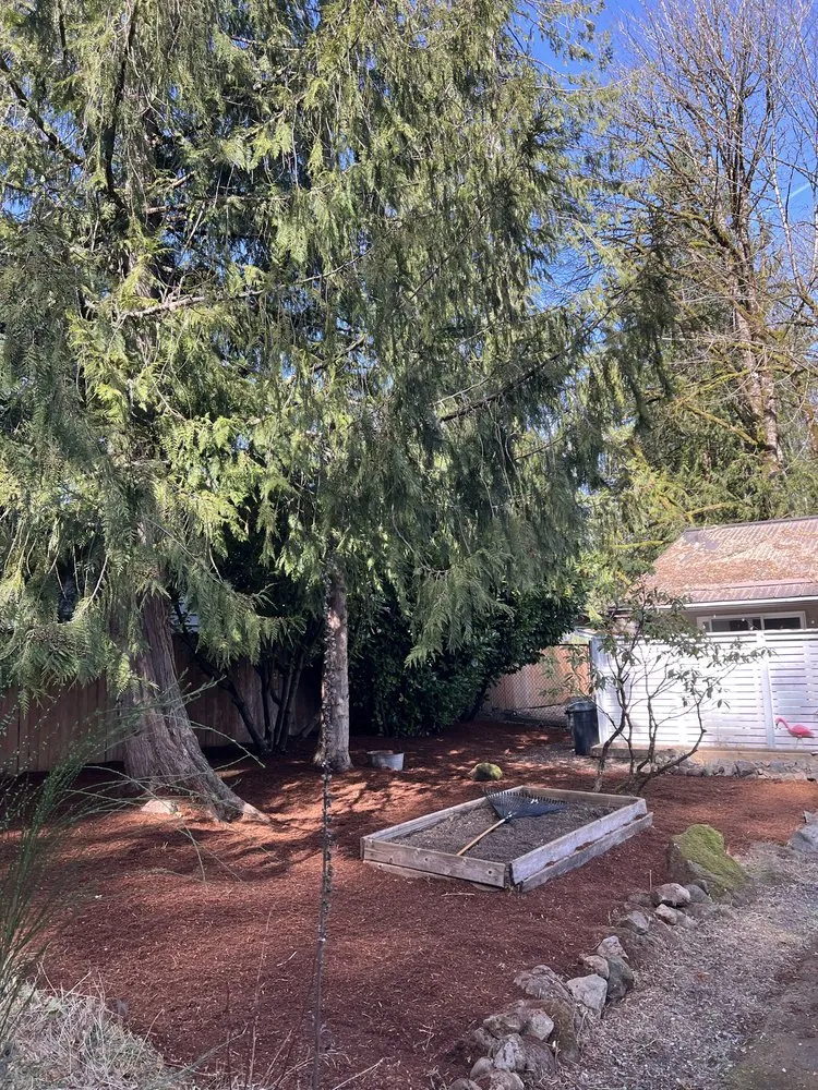 Local landscape design in Portland, OR - The White Eagle Tree Services & Landscaping